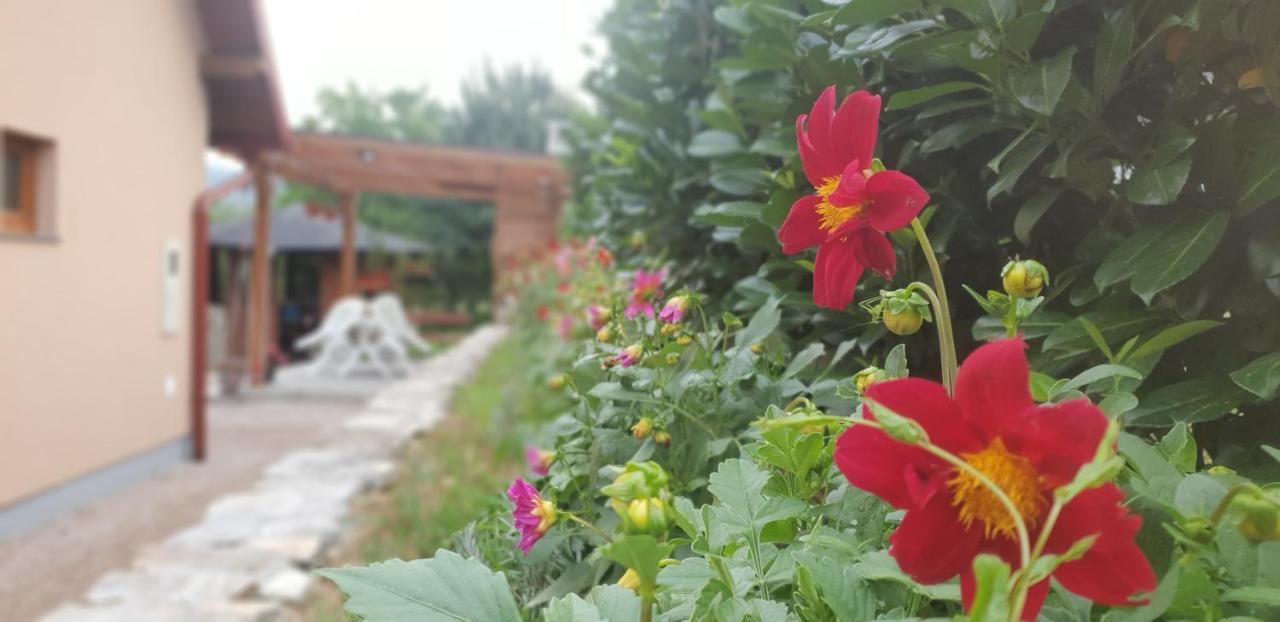 Green Garden Lohovo Bihać Exteriér fotografie